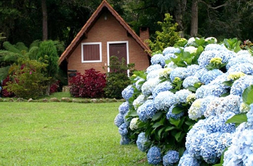 Fazenda Samambaias *