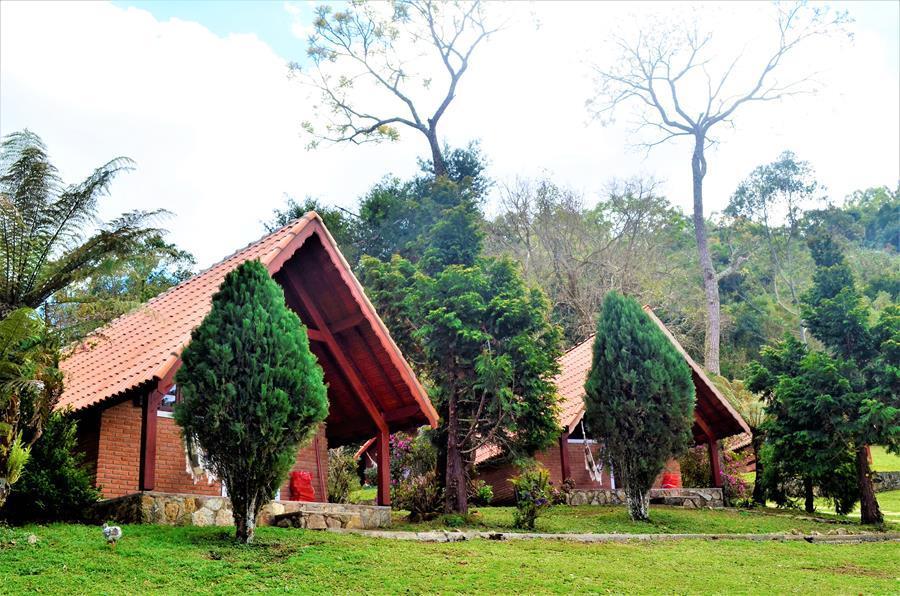 Fazenda Samambaias